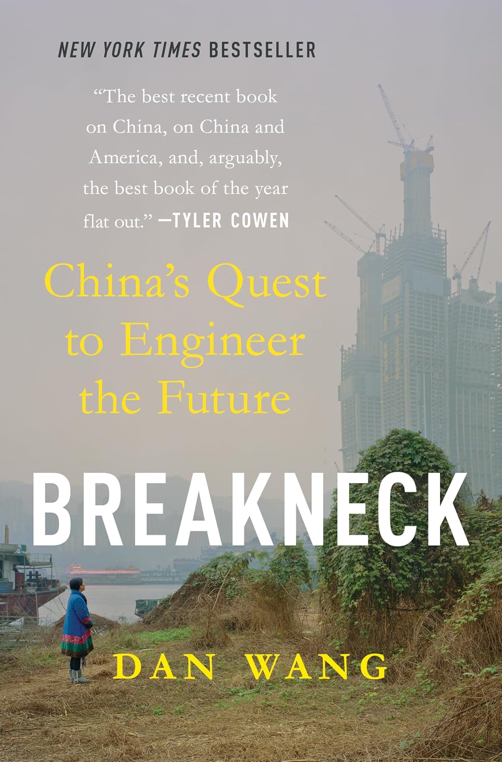 Breakneck - China's Quest to Engineer the Future cover